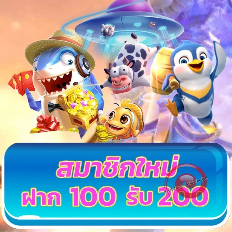 mee777 ทางเข้า